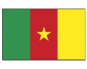 Kamerun Fahne / Flagge am Stab | 30 x 45 cm