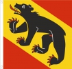 Bern Fahne aus Stoff 60 x 60 cm