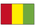 Guinea Fahne / Flagge am Stab | 30 x 45 cm