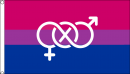 Bi-Pride mit Symbol Fahne gedruckt | 90 x 150 cm