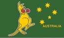 Boxendes Känguruh Fahne gedruckt | 60 x 90 cm