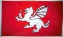 England weisser Drachen (Pendragon) Fahne gedruckt | 90 x 150 cm