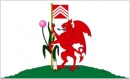 Cardiff Fahne gedruckt | 90 x 150 cm