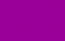Violette Fahne gedruckt | 90 x 150 cm