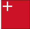 Schwyz Fahne aus Stoff 60 x 60 cm