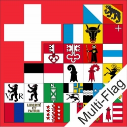 Fahne mit allen Kantonen und CH Kreuz Multi-Flag | 100 x 100 cm